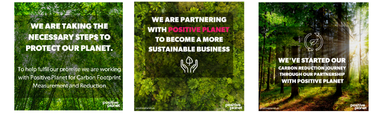 Positive Planet commitments